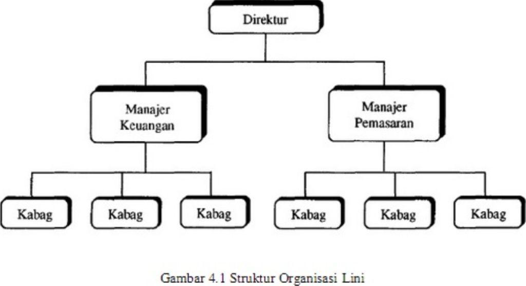 Detail Gambar Struktur Organisasi Lini Nomer 14