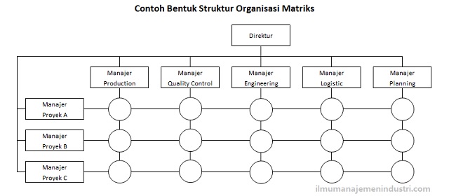 Detail Gambar Struktur Organisasi Matriks Nomer 3