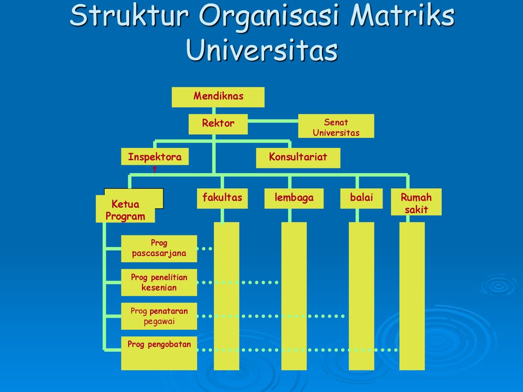 Detail Gambar Struktur Organisasi Matriks Nomer 31