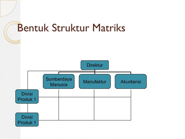 Detail Gambar Struktur Organisasi Matriks Nomer 32