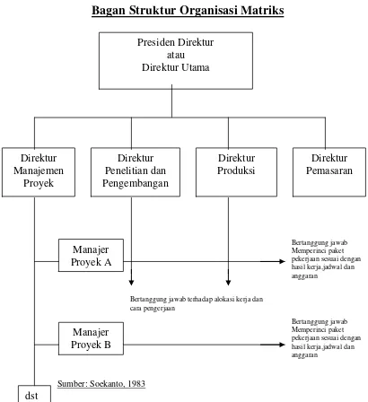 Detail Gambar Struktur Organisasi Matriks Nomer 49