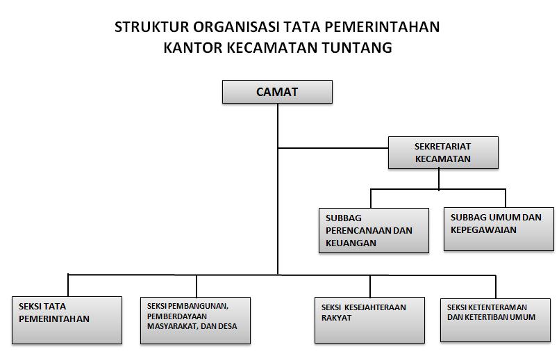 Detail Gambar Struktur Organisasi Pemerintahan Kecamatan Nomer 22