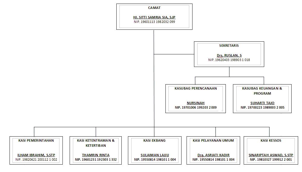 Detail Gambar Struktur Organisasi Pemerintahan Kecamatan Nomer 5