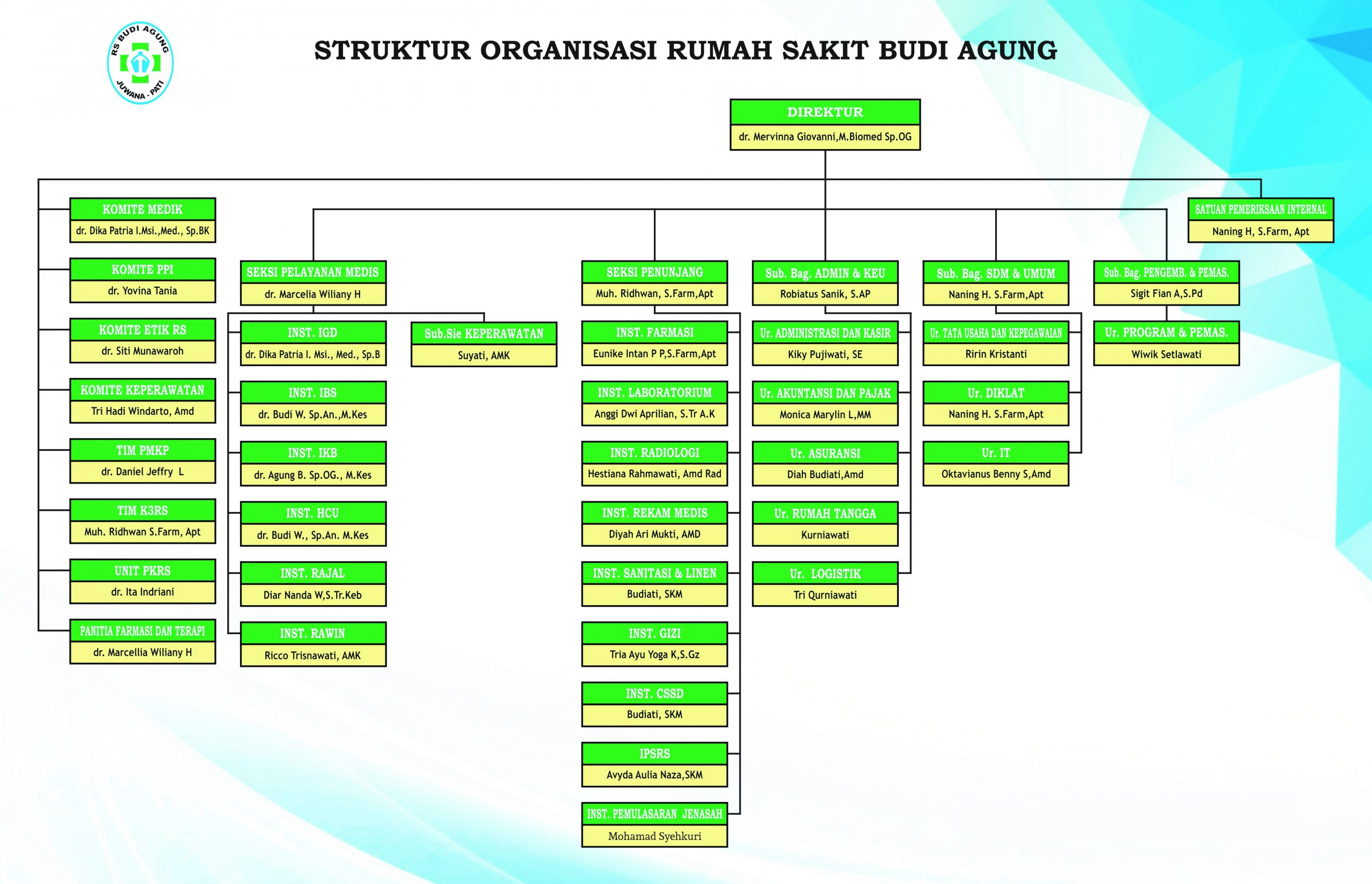 Detail Gambar Struktur Organisasi Rumah Sakit Nomer 20