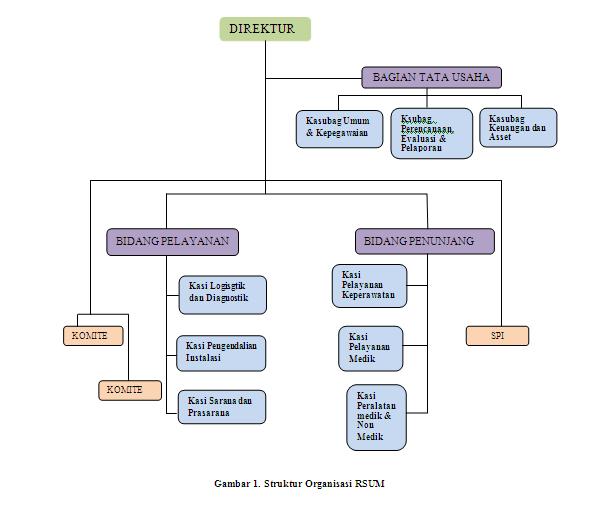 Detail Gambar Struktur Organisasi Rumah Sakit Nomer 23