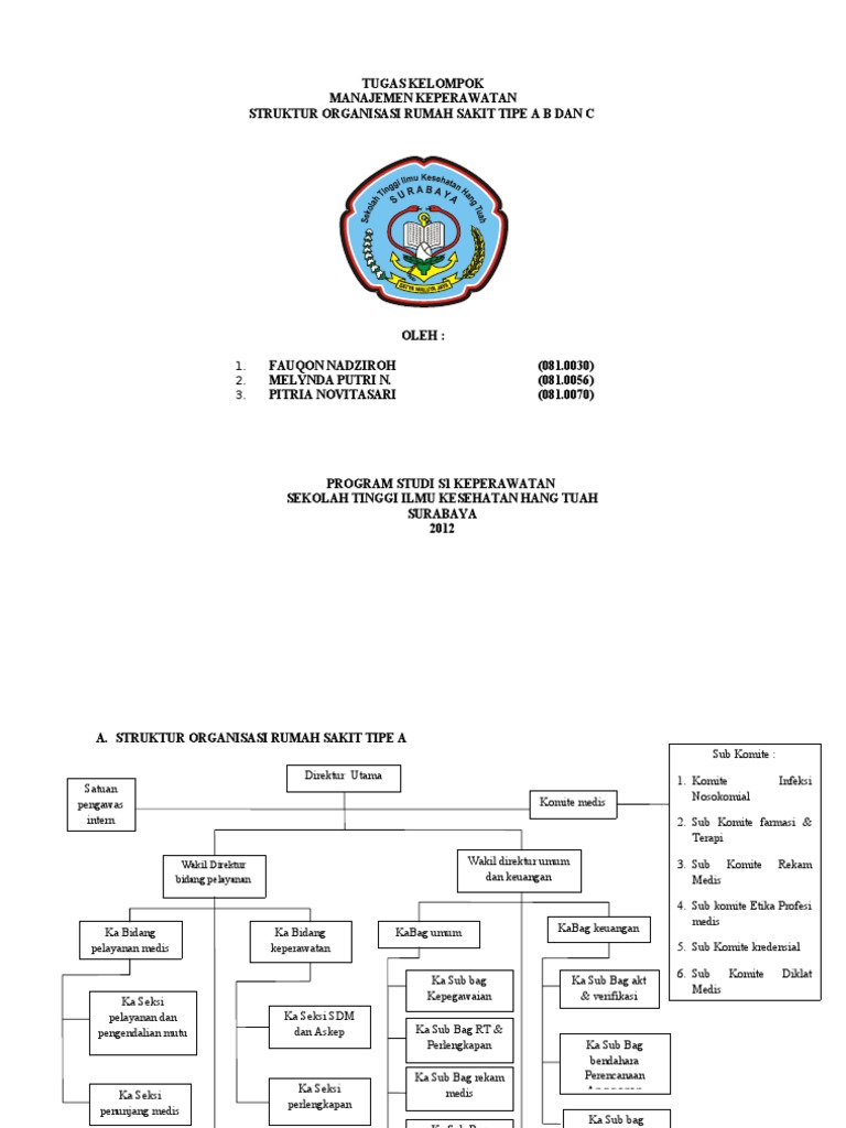 Detail Gambar Struktur Organisasi Rumah Sakit Nomer 30