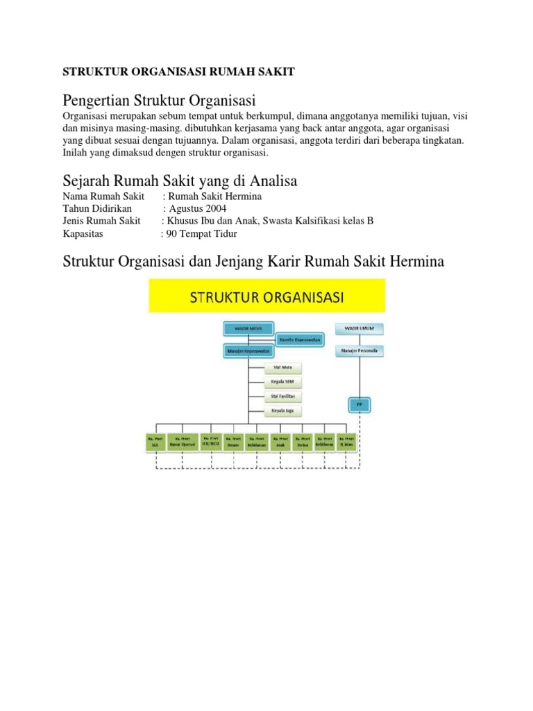 Detail Gambar Struktur Organisasi Rumah Sakit Nomer 35