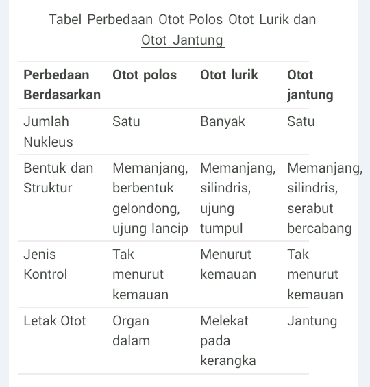 Detail Gambar Struktur Otot Jantung Nomer 49