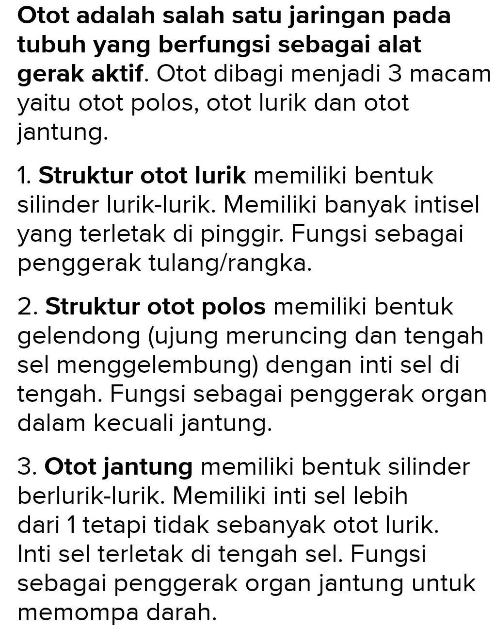 Detail Gambar Struktur Otot Lurik Nomer 56