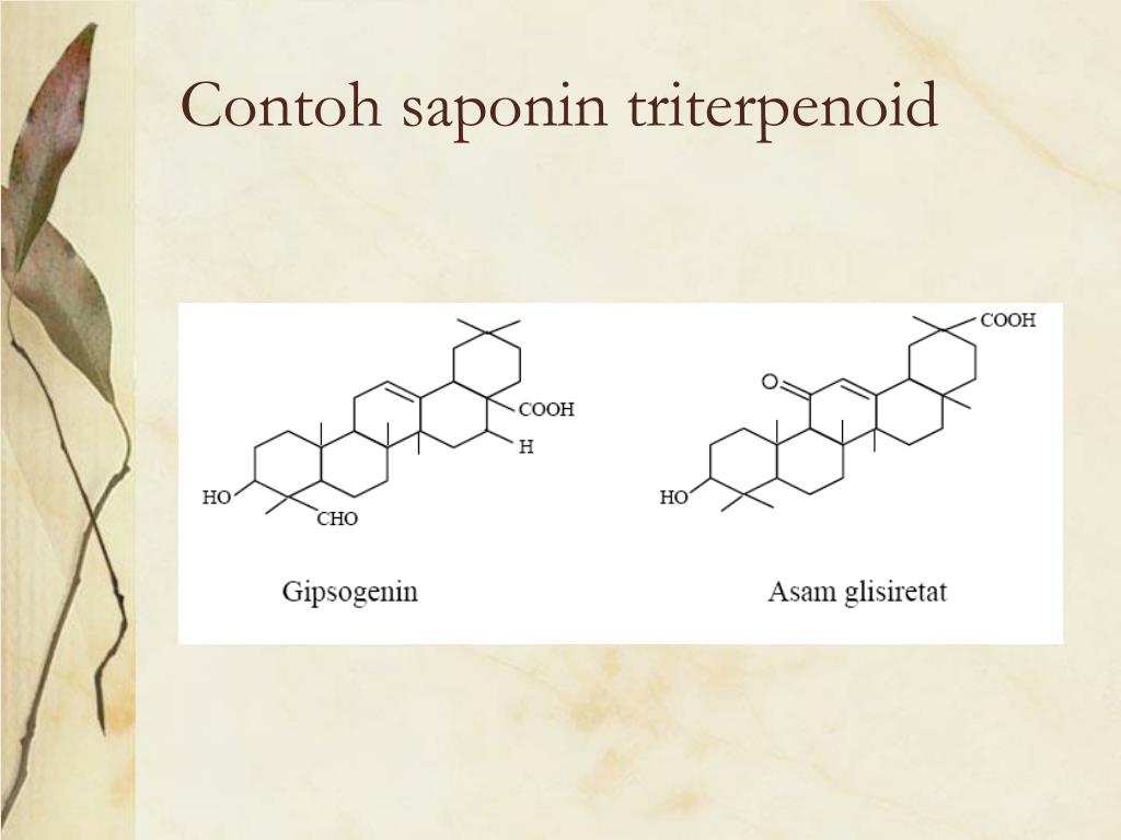 Detail Gambar Struktur Saponin Nomer 8