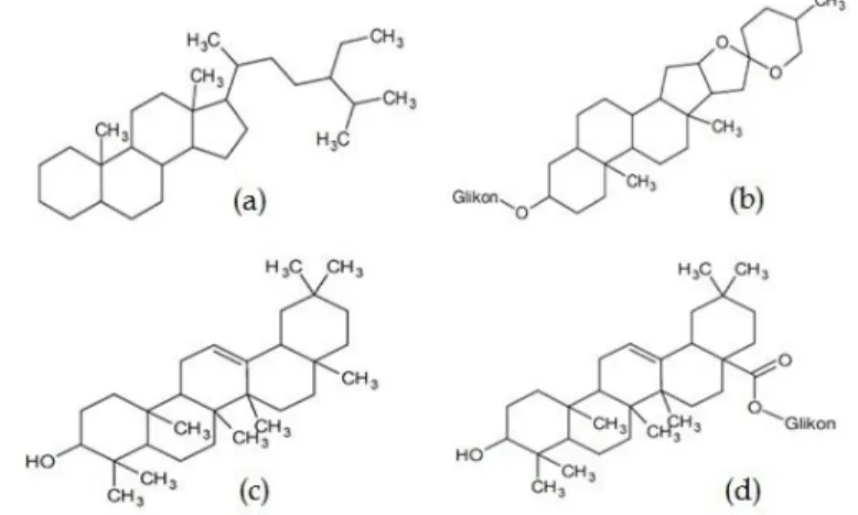 Detail Gambar Struktur Saponin Nomer 13