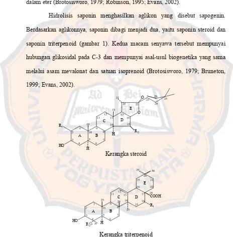 Detail Gambar Struktur Saponin Nomer 34