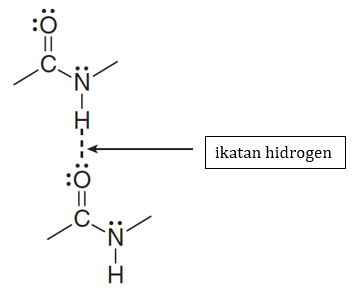 Detail Gambar Struktur Sekunder Protein Nomer 31