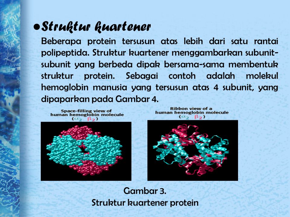 Detail Gambar Struktur Sekunder Protein Nomer 33