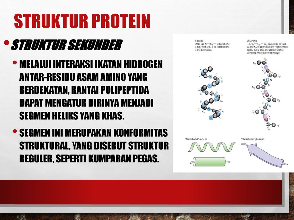 Detail Gambar Struktur Sekunder Protein Nomer 40