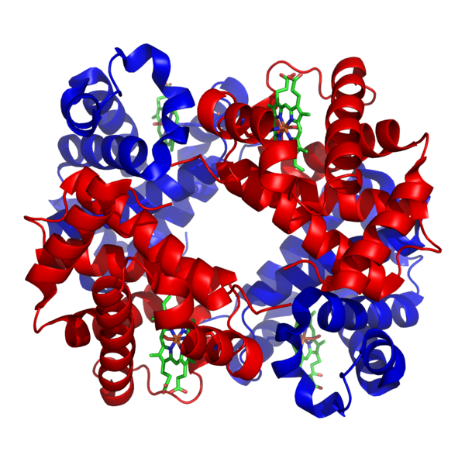 Detail Gambar Struktur Sekunder Protein Nomer 43