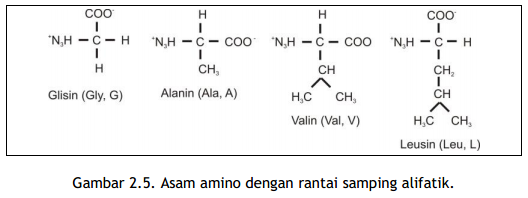 Detail Gambar Struktur Sekunder Protein Nomer 49