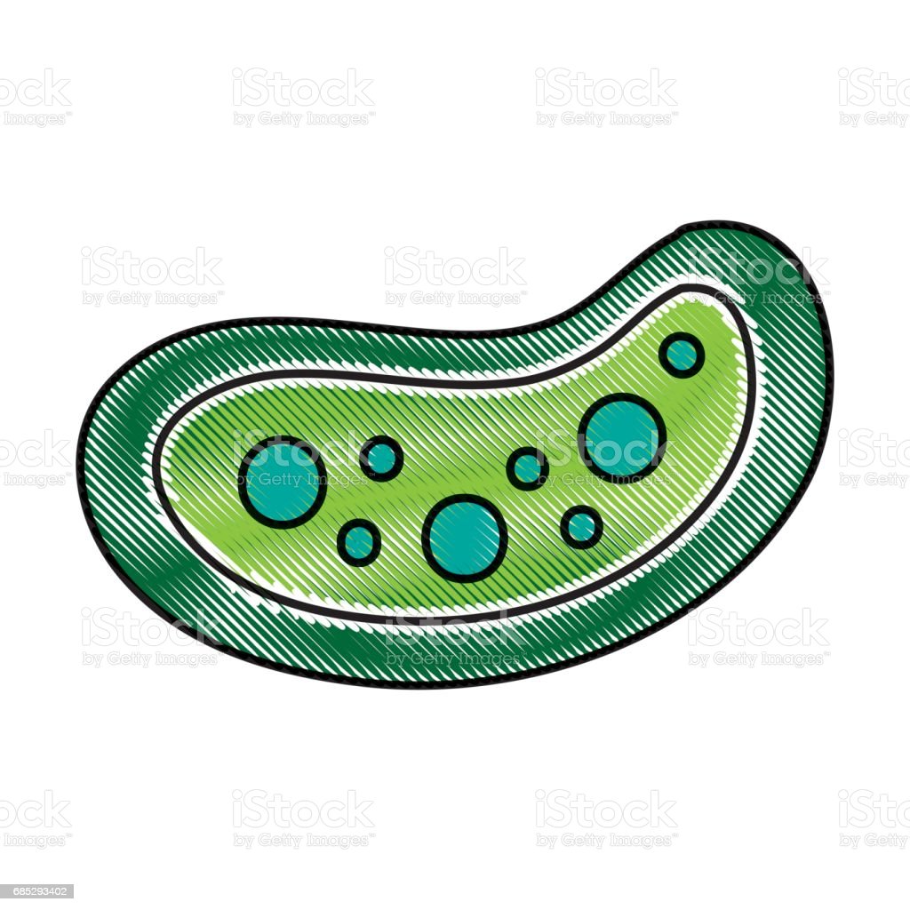 Detail Gambar Struktur Sel Bakteri Nomer 16