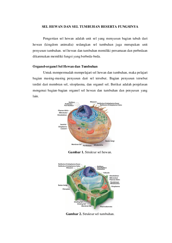 Detail Gambar Struktur Sel Hewan Dan Struktur Sel Tumbuhan Nomer 54