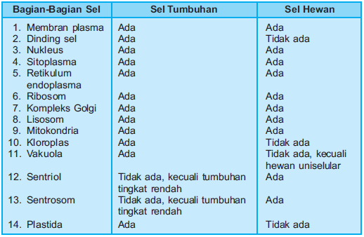 Detail Gambar Struktur Sel Tumbuhan Dan Hewan Nomer 23