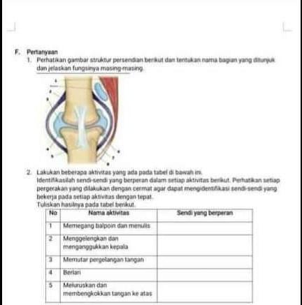 Detail Gambar Struktur Sendi Nomer 47
