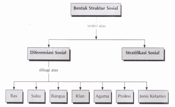 Detail Gambar Struktur Sosial Sekolah Nomer 3