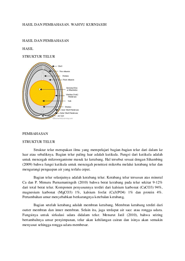 Detail Gambar Struktur Telur Nomer 11