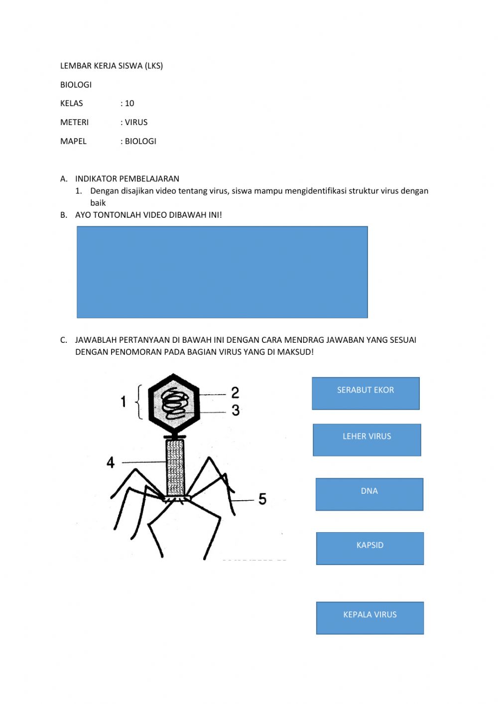 Detail Gambar Struktur Virus Nomer 17