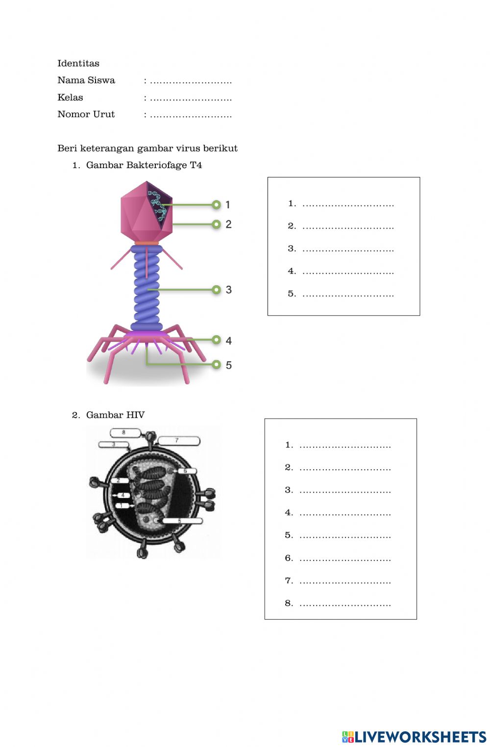 Detail Gambar Struktur Virus Nomer 37