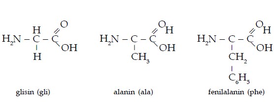 Detail Gambar Stryktur Dasar Protein Nomer 9