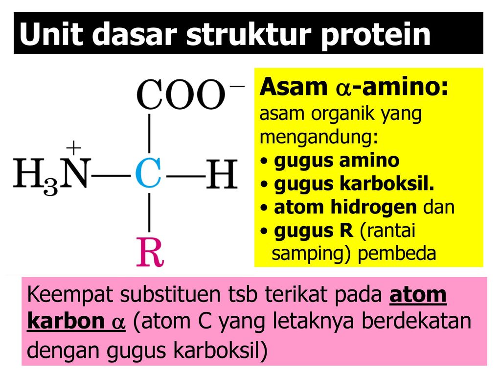 Detail Gambar Stryktur Dasar Protein Nomer 28