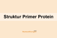 Detail Gambar Stryktur Dasar Protein Nomer 32