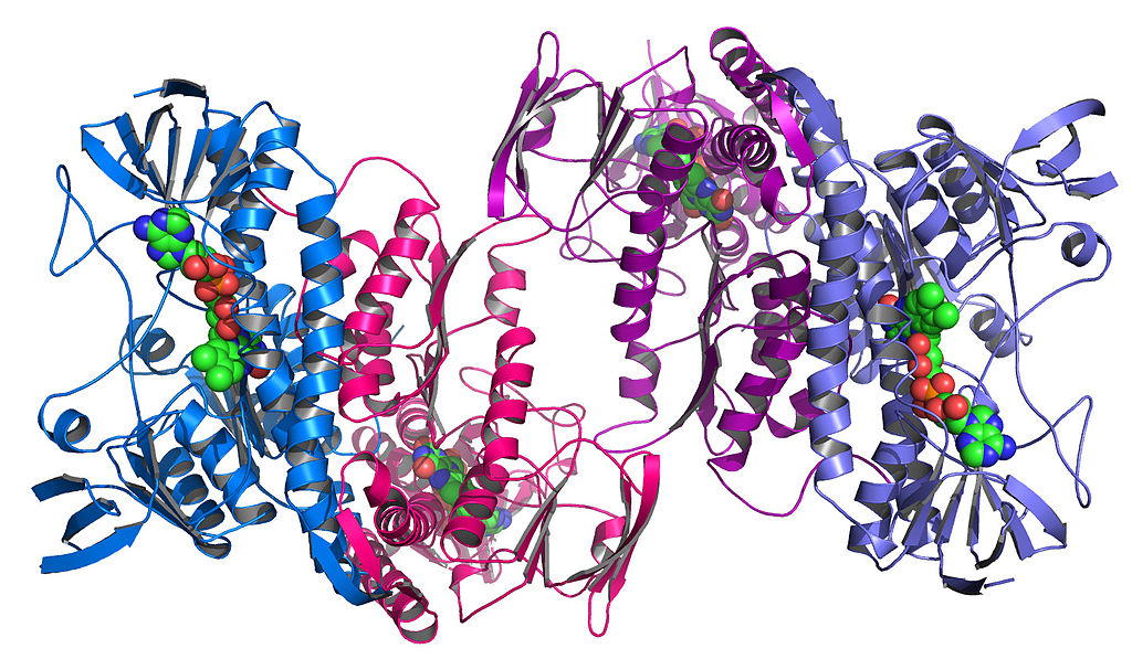 Detail Gambar Stryktur Dasar Protein Nomer 43