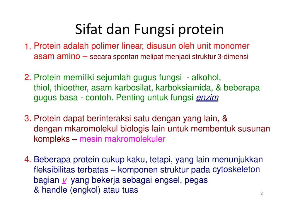 Detail Gambar Stryktur Dasar Protein Nomer 44