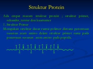 Detail Gambar Stryktur Dasar Protein Nomer 47