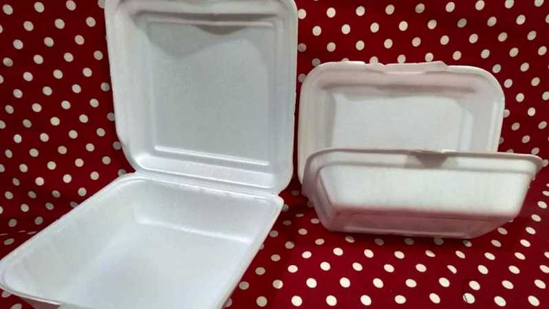 Detail Gambar Styrofoam Makanan Nomer 15