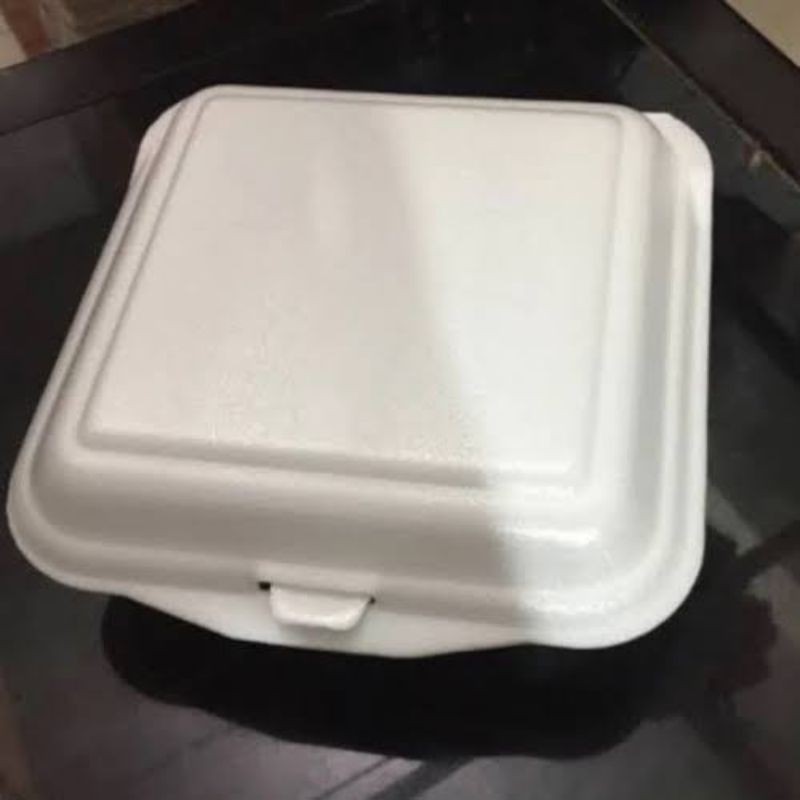 Detail Gambar Styrofoam Makanan Nomer 32