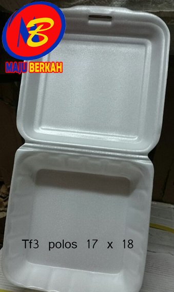 Detail Gambar Styrofoam Makanan Nomer 45