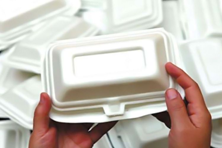 Detail Gambar Styrofoam Makanan Nomer 52