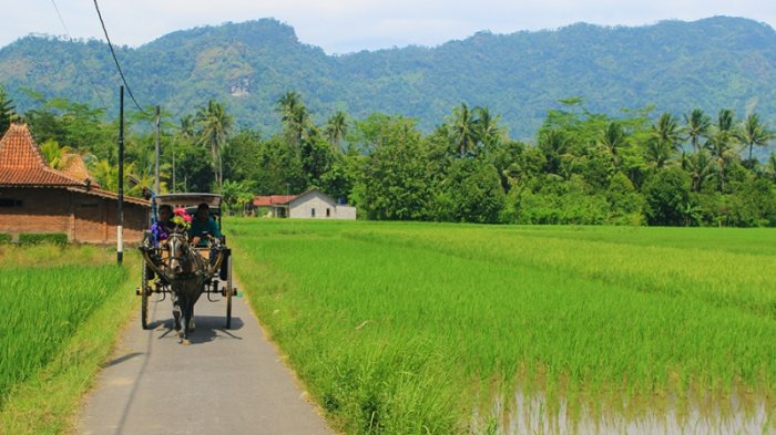 Detail Gambar Suasana Di Desa Nomer 30