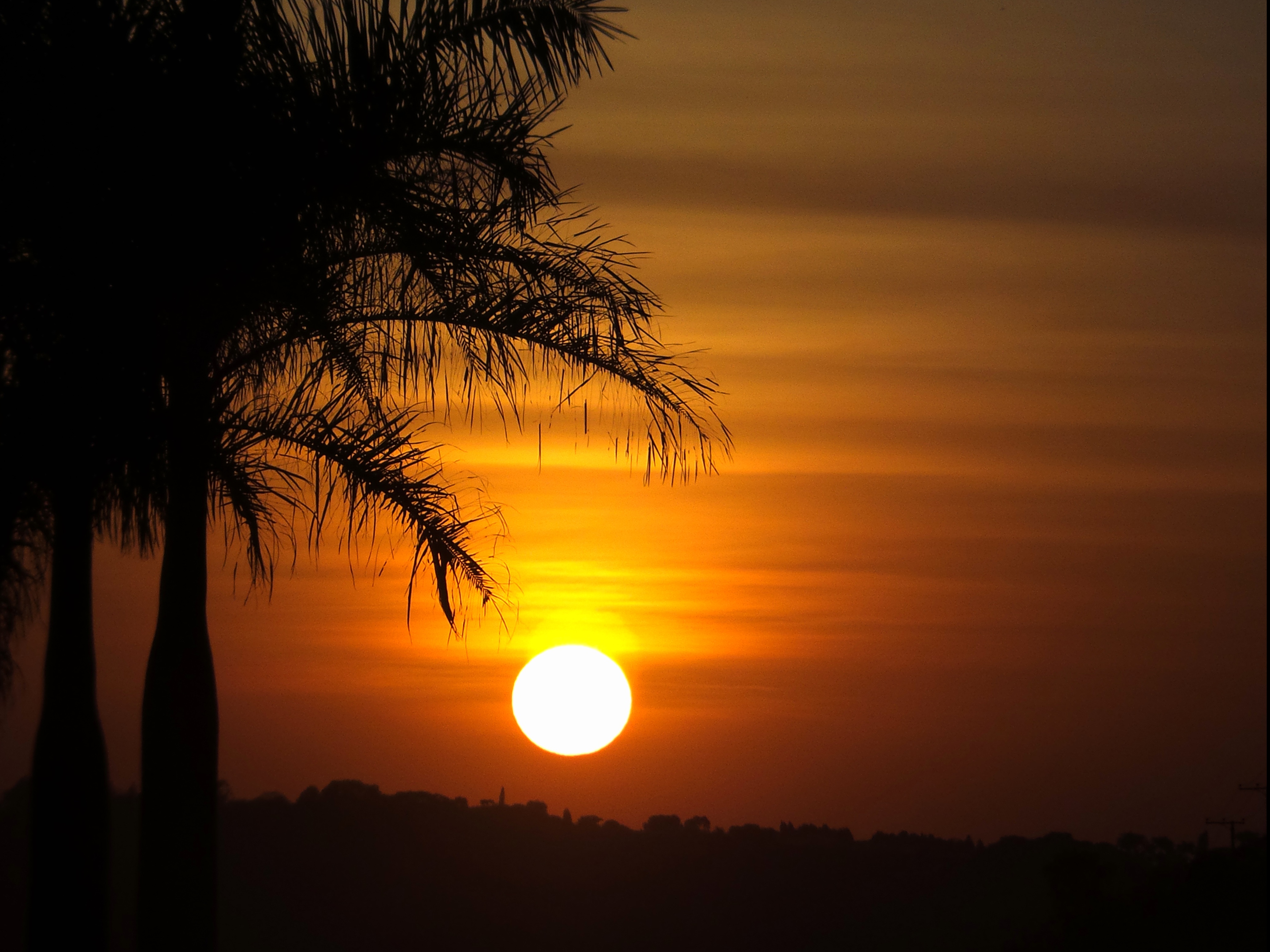 Detail Gambar Suasana Senja Nomer 6