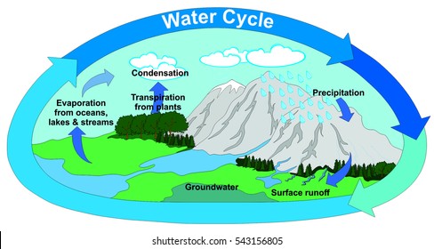 Detail Gambar Subsurface Runoff Nomer 15