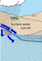 Detail Gambar Subsurface Runoff Nomer 17