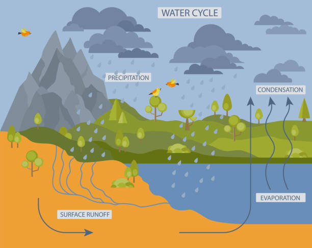 Detail Gambar Subsurface Runoff Nomer 44