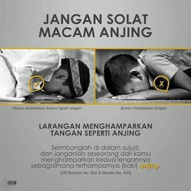 Detail Gambar Sujud Wanita Yang Benar Nomer 28