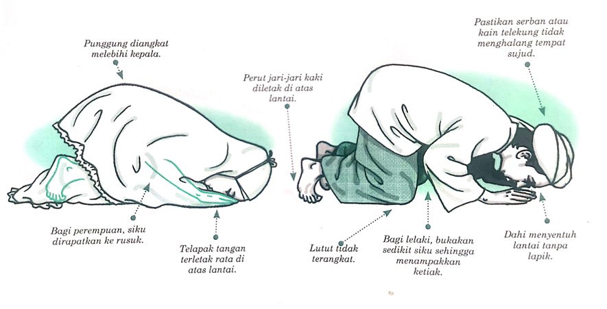 Detail Gambar Sujud Yang Betul Nomer 6