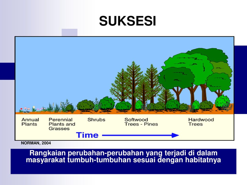 Detail Gambar Suksesi Primer Nomer 21