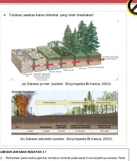 Detail Gambar Suksesi Primer Nomer 44