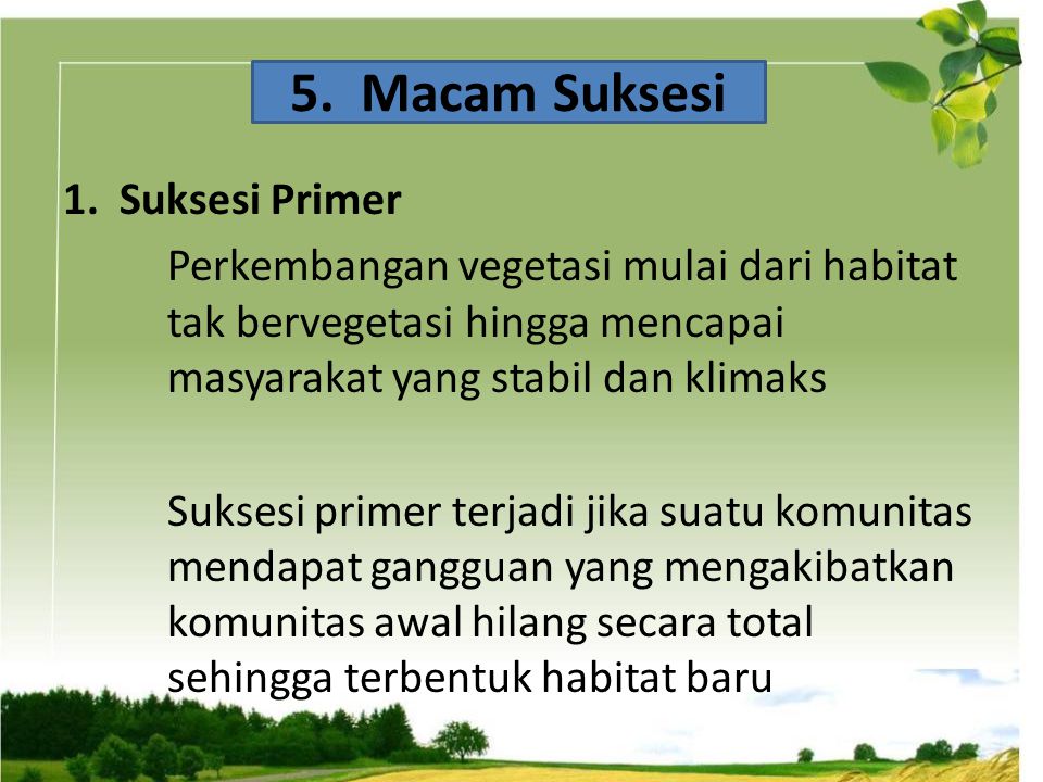 Detail Gambar Suksesi Primer Nomer 52