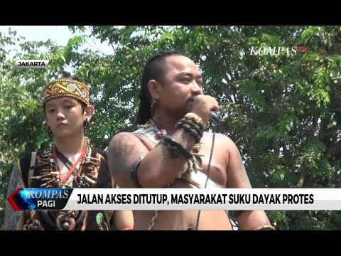 Detail Gambar Suku Dayak Nomer 21